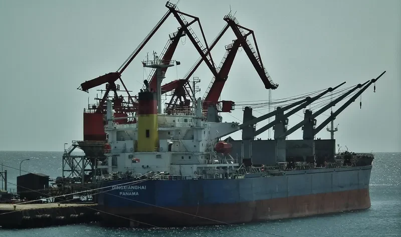 DINGXIANGHAI Bulk Carrier IMO 9209219 photo 4