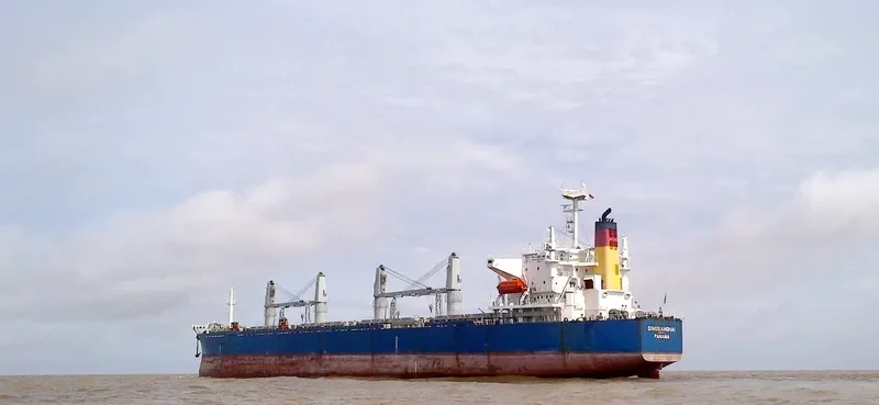 DINGXIANGHAI Bulk Carrier IMO 9209219 photo 5
