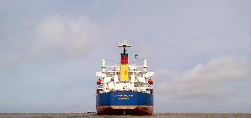 DINGXIANGHAI Bulk Carrier IMO 9209219 photo 6