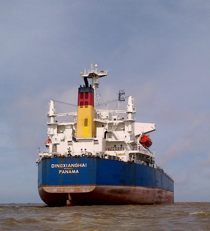 DINGXIANGHAI Bulk Carrier IMO 9209219 photo 7