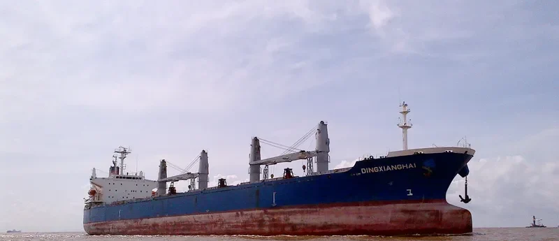 DINGXIANGHAI Bulk Carrier IMO 9209219 photo 8