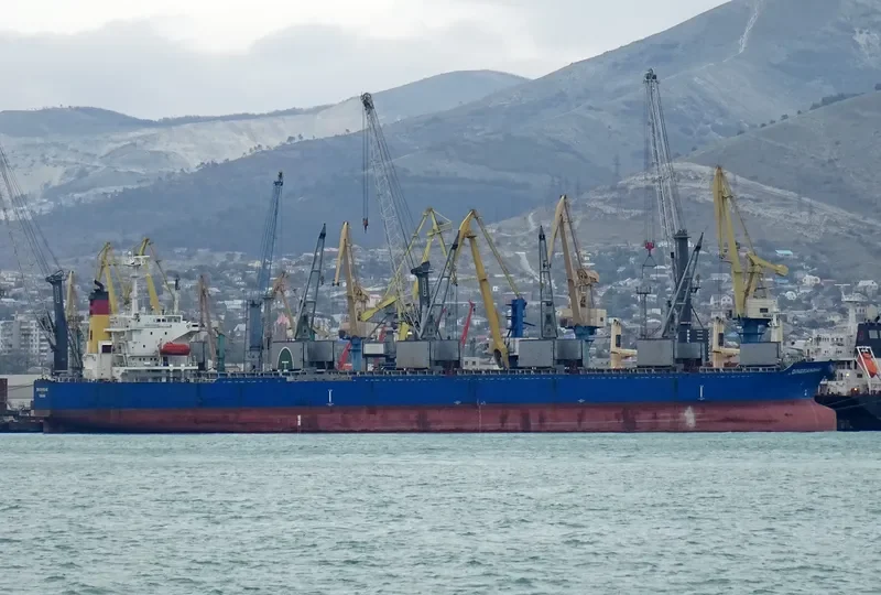 DINGXIANGHAI Bulk Carrier IMO 9209219 photo 10