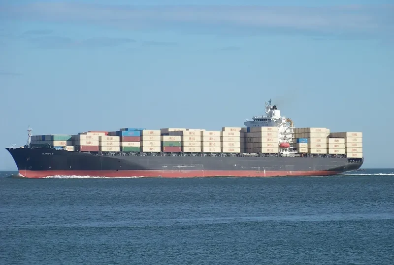 SARVIN Container Ship IMO 9209348