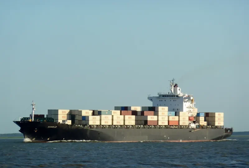 SARVIN Container Ship IMO 9209348 photo 3