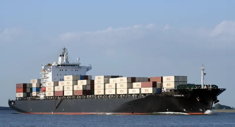 SARVIN Container Ship IMO 9209348 photo 5
