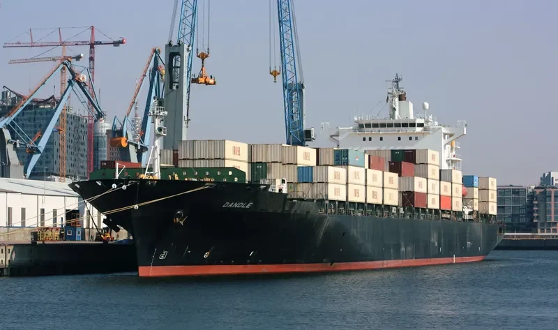 SARVIN Container Ship IMO 9209348 photo 6