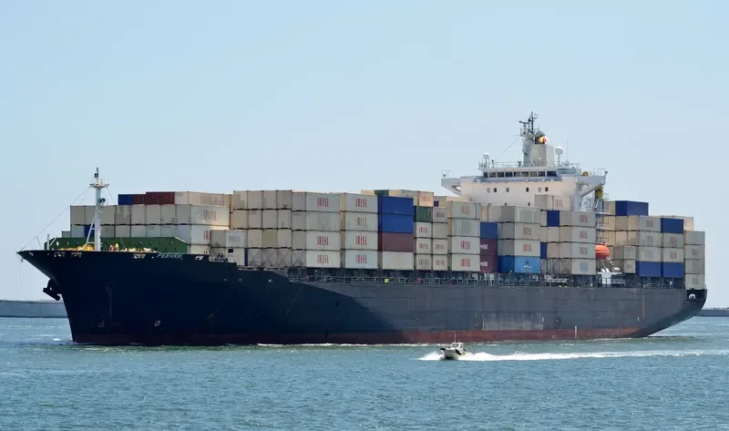 PERARIN Container Ship IMO 9209350 photo 2