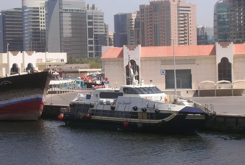 SEA JAGUAR Passenger Ship IMO 9209489