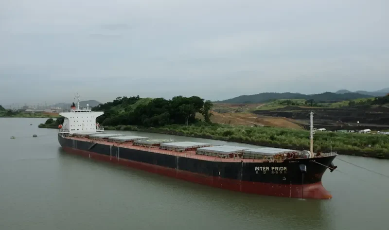 MAHAVIR Bulk Carrier IMO 9209491