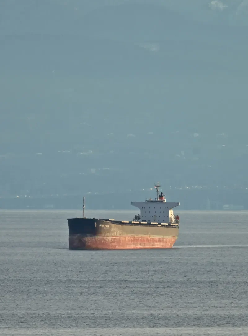 MAHAVIR Bulk Carrier IMO 9209491 photo 5