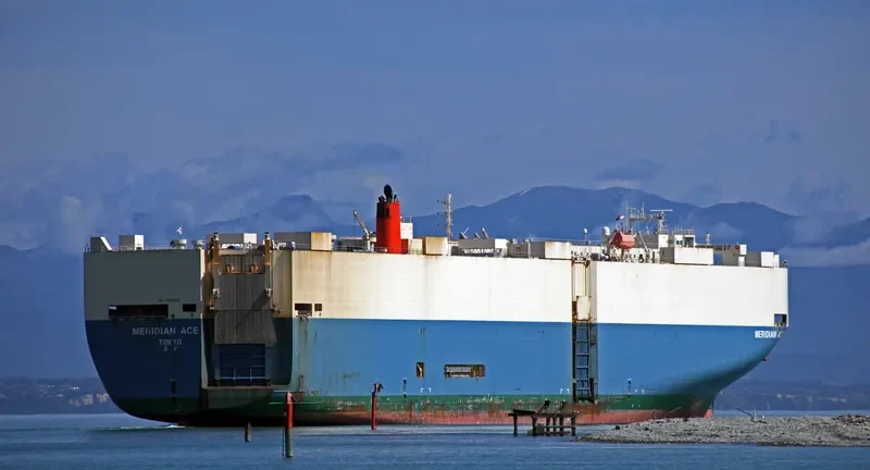MERIDIAN ACE General Cargo IMO 9209518