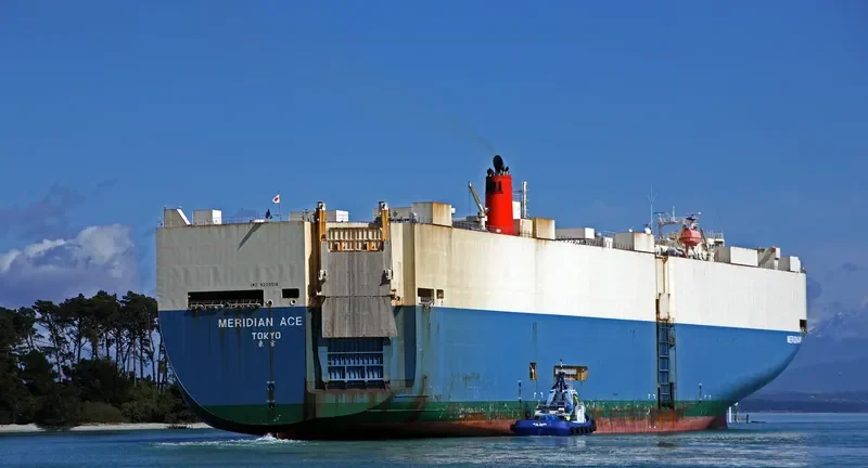 MERIDIAN ACE General Cargo IMO 9209518 photo 2