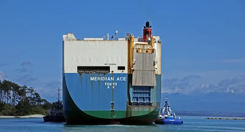 MERIDIAN ACE General Cargo IMO 9209518 photo 3