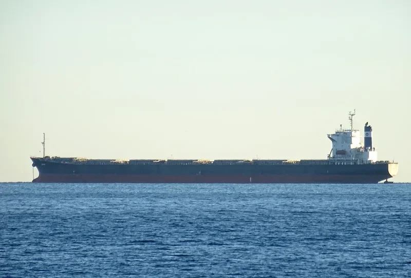 DENEB Bulk Carrier IMO 9209520 photo 2