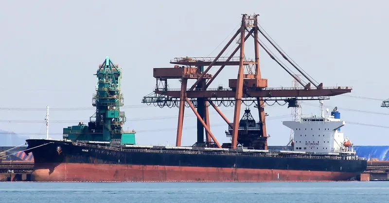 DENEB Bulk Carrier IMO 9209520 photo 3