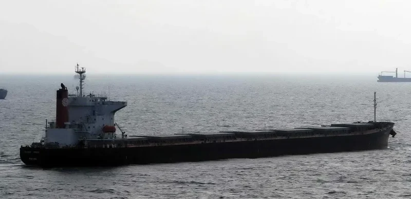 DENEB Bulk Carrier IMO 9209520 photo 4