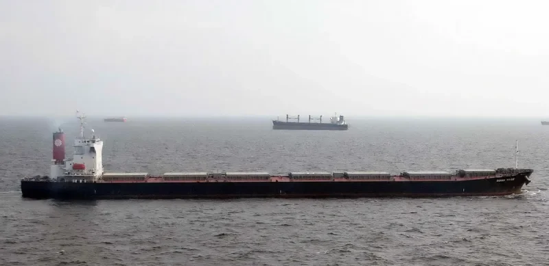 DENEB Bulk Carrier IMO 9209520 photo 6
