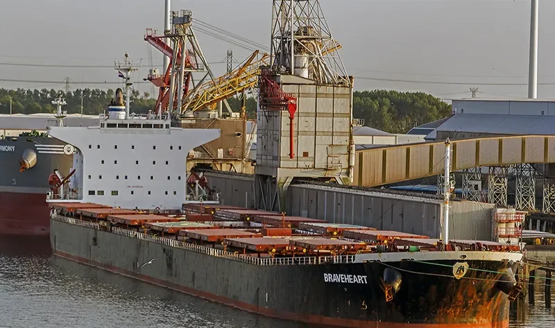 BRAVEHEART Bulk Carrier IMO 9209532