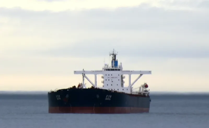 OKRA Bulk Carrier IMO 9209910