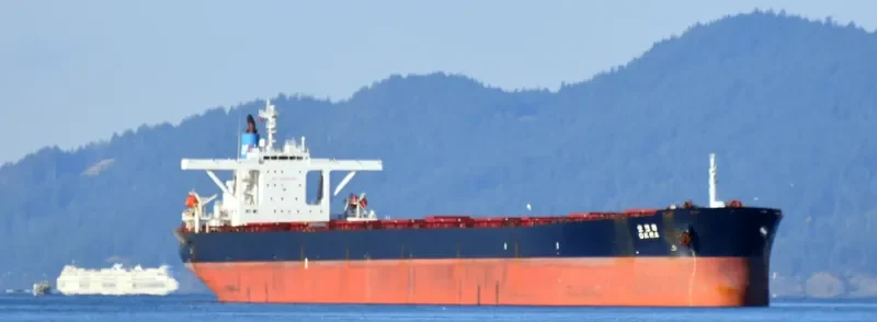 OKRA Bulk Carrier IMO 9209910 photo 2