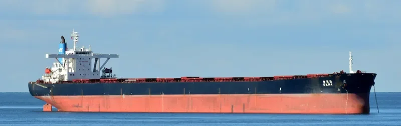 OKRA Bulk Carrier IMO 9209910 photo 3