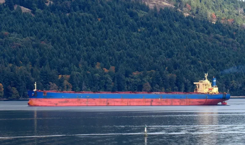 OKRA Bulk Carrier IMO 9209910 photo 6