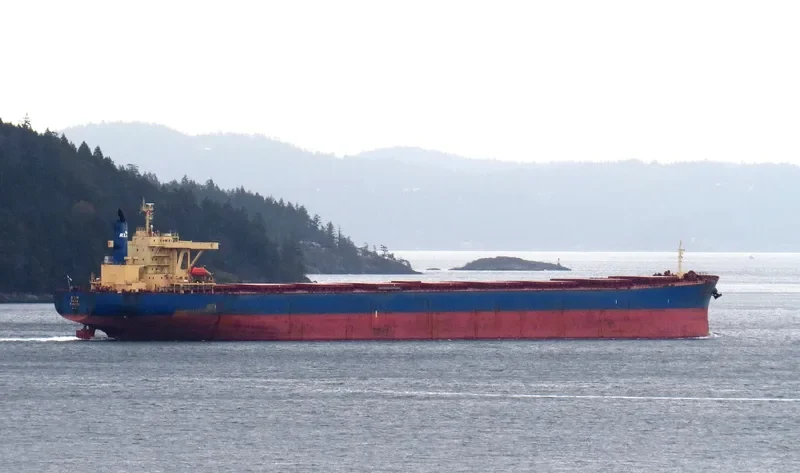 OKRA Bulk Carrier IMO 9209910 photo 7