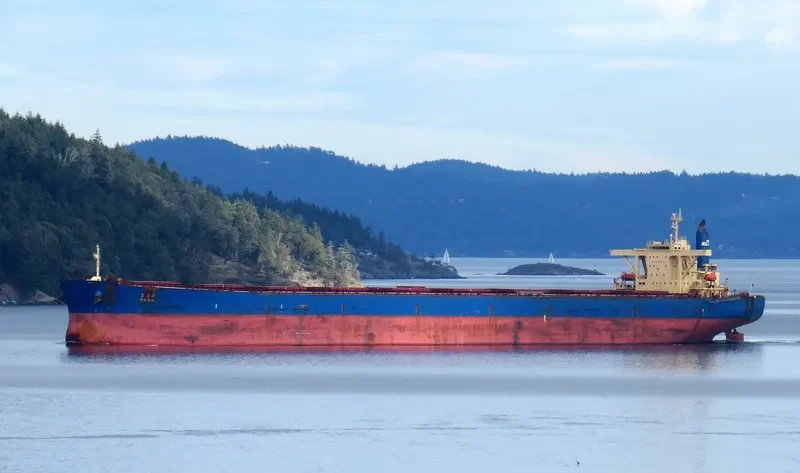 OKRA Bulk Carrier IMO 9209910 photo 8