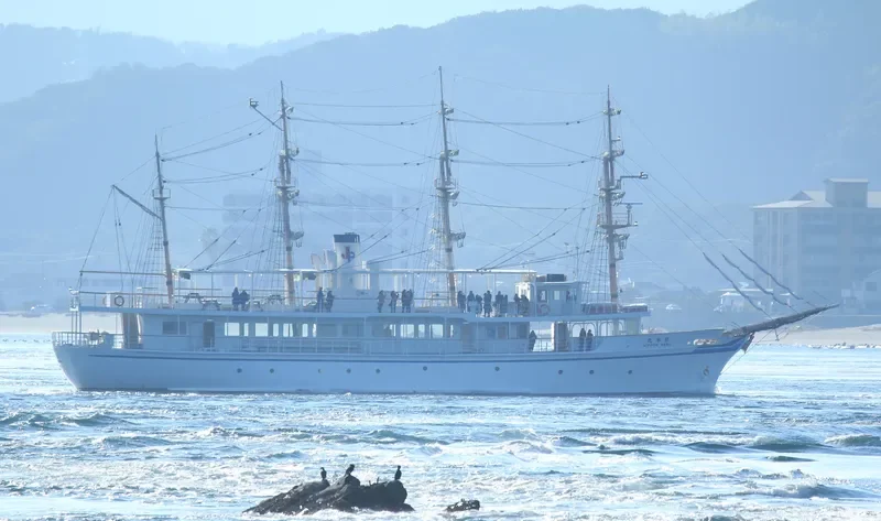 NIPPON MARU Passenger Ship IMO 9209960 photo 6