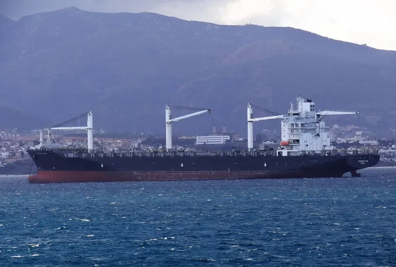 CAROLINA STAR Container Ship IMO 9210062 photo 9