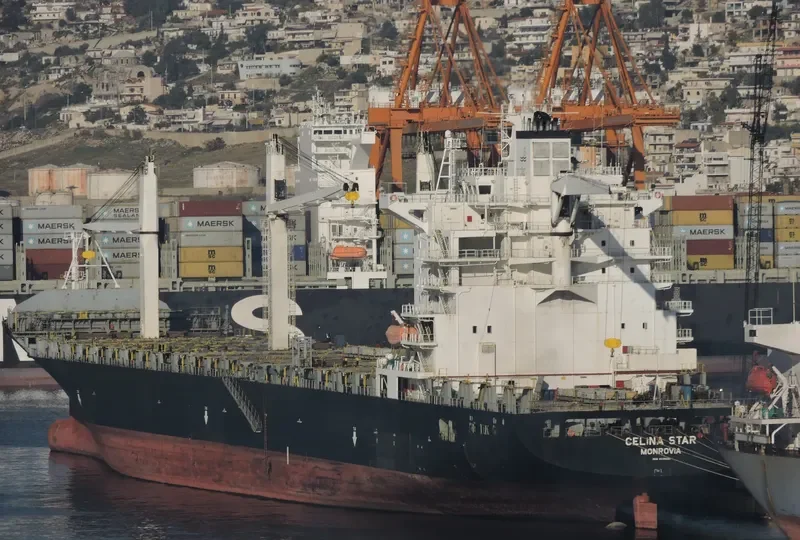 MSC CAPUCINE R Container Ship IMO 9210086 photo 2