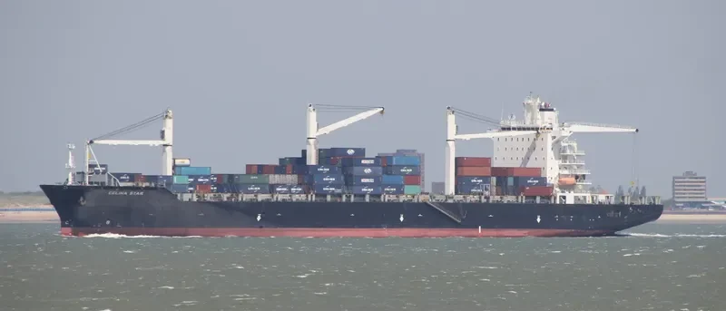 MSC CAPUCINE R Container Ship IMO 9210086 photo 8