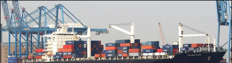 MSC CAPUCINE R Container Ship IMO 9210086 photo 10