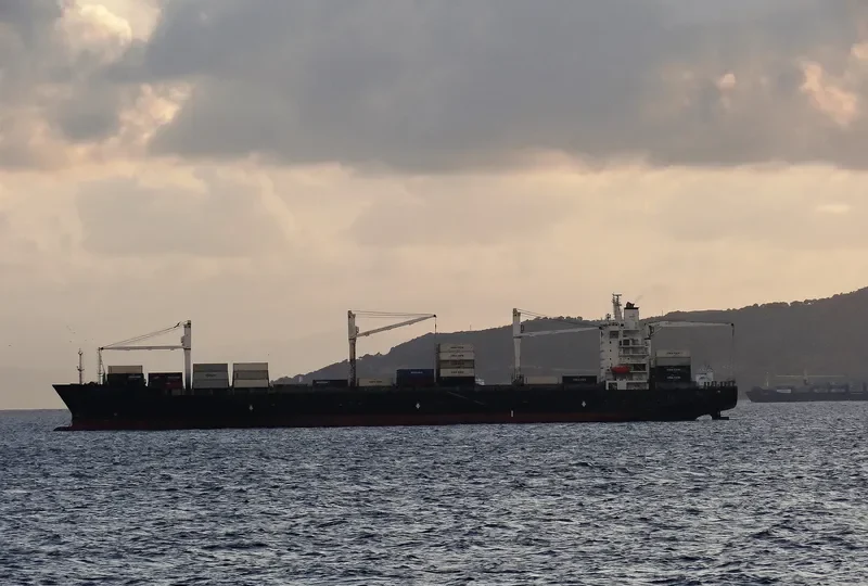 MSC SINES R Container Ship IMO 9210098