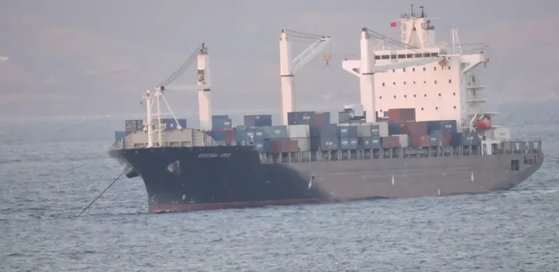 MSC SINES R Container Ship IMO 9210098 photo 2