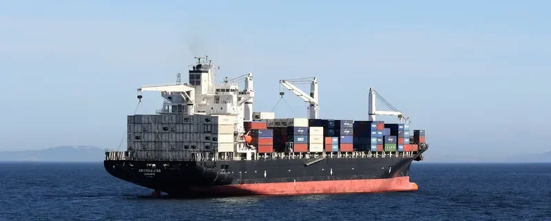 MSC SINES R Container Ship IMO 9210098 photo 3