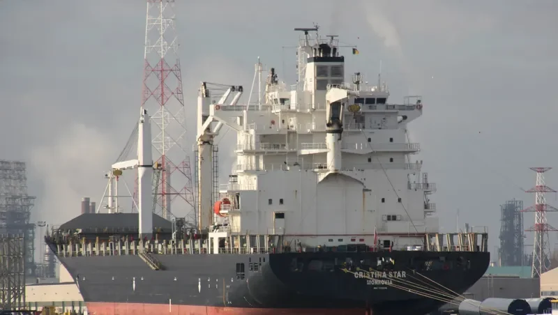 MSC SINES R Container Ship IMO 9210098 photo 4