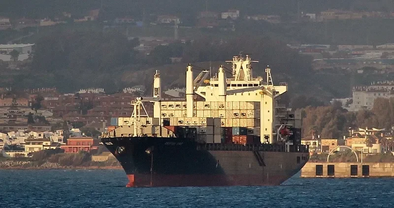 MSC SINES R Container Ship IMO 9210098 photo 5