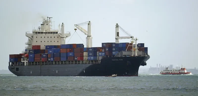 MSC SINES R Container Ship IMO 9210098 photo 13