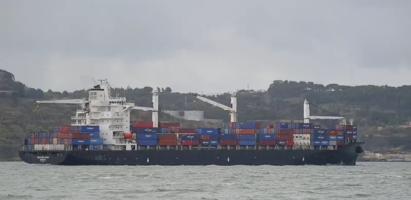MSC SINES R Container Ship IMO 9210098 photo 31