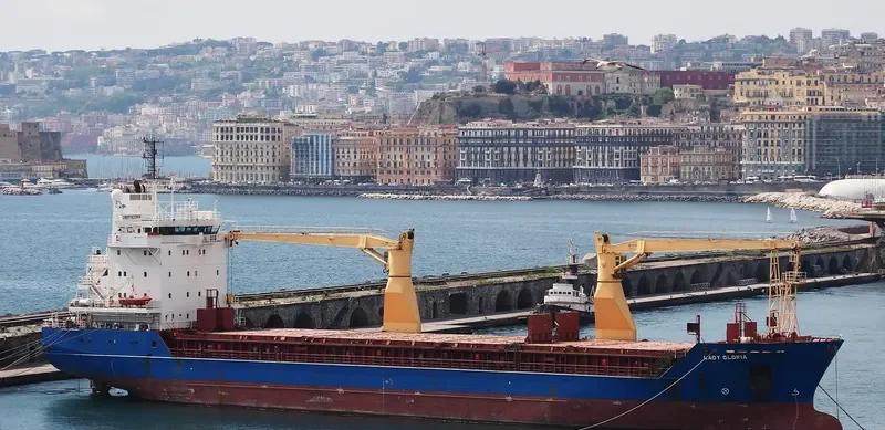 REK MAJESTY General Cargo IMO 9210244 photo 4