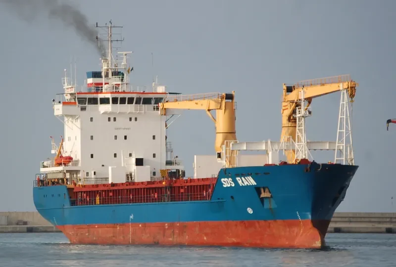 SDS RAIN General Cargo IMO 9210256 photo 2