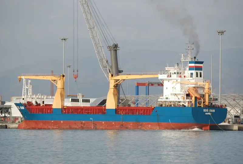 SDS RAIN General Cargo IMO 9210256 photo 3