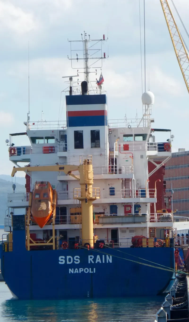 SDS RAIN General Cargo IMO 9210256 photo 8