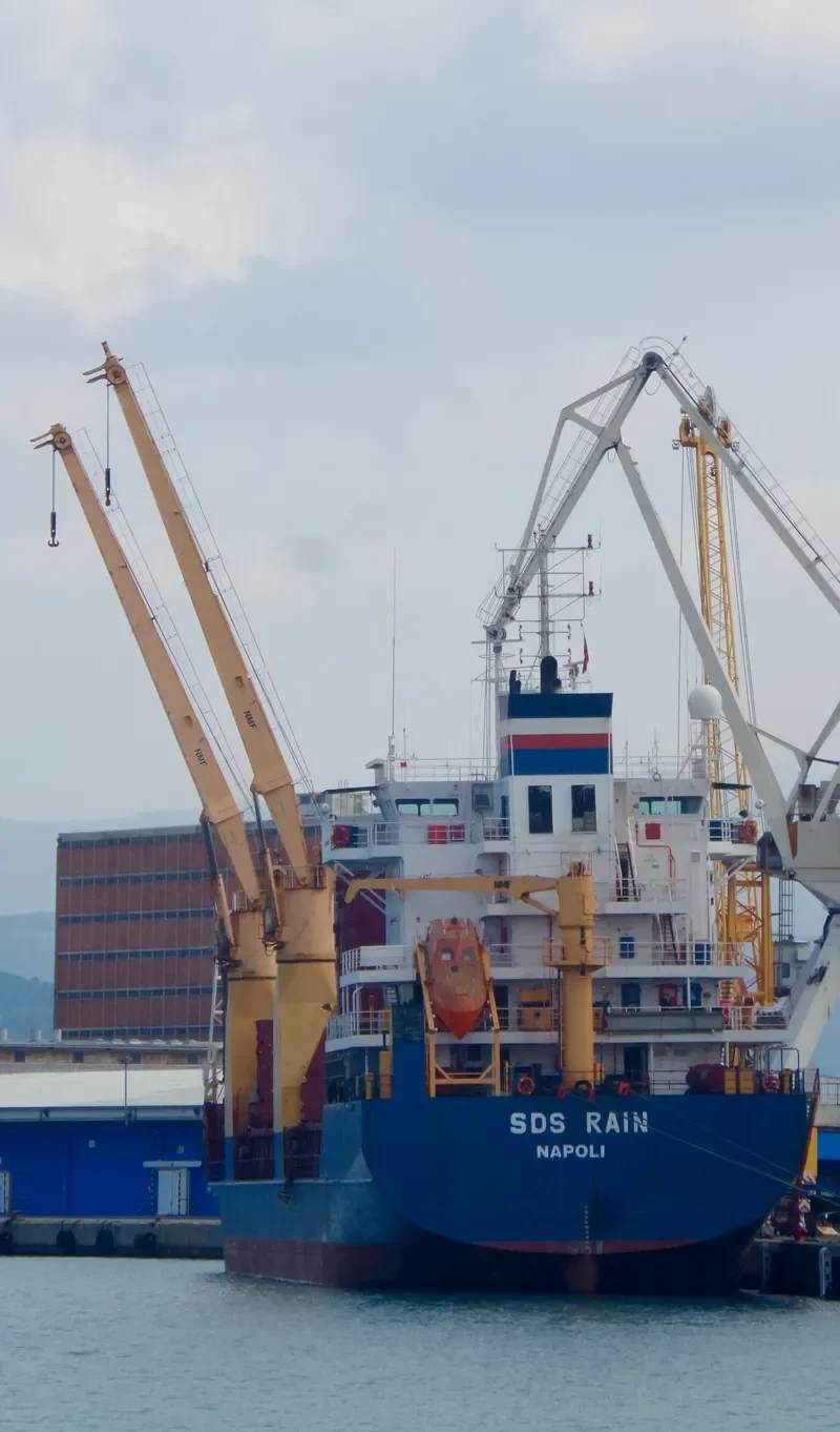 SDS RAIN General Cargo IMO 9210256 photo 9