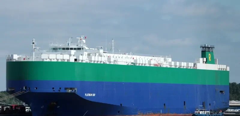 PLATINUM RAY General Cargo IMO 9210438 photo 2