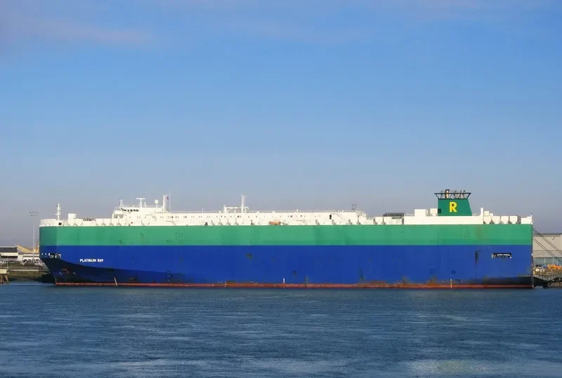 PLATINUM RAY General Cargo IMO 9210438 photo 5