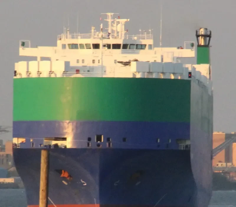 PLATINUM RAY General Cargo IMO 9210438 photo 7