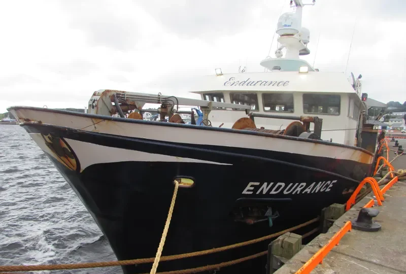 ENDURANCE General Cargo IMO 9210672 photo 2