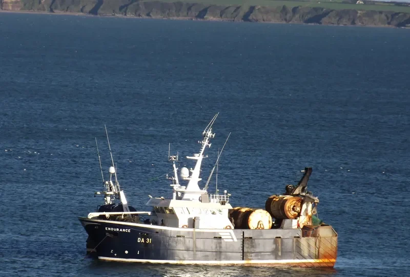 ENDURANCE General Cargo IMO 9210672 photo 10